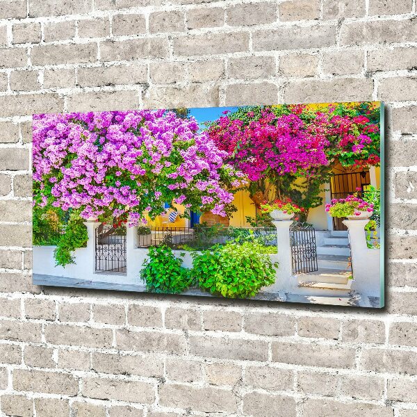 Fotografie imprimată pe sticlă Casa cu bougainvillea