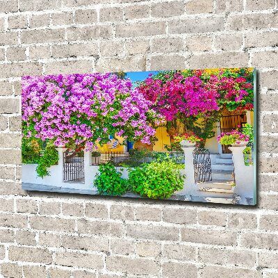 Fotografie imprimată pe sticlă Casa cu bougainvillea