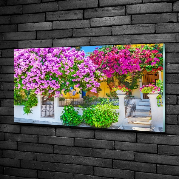 Fotografie imprimată pe sticlă Casa cu bougainvillea