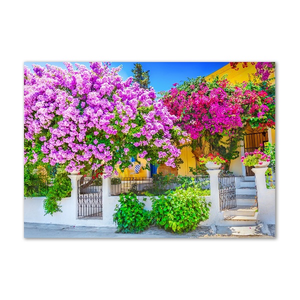 Fotografie imprimată pe sticlă Casa cu bougainvillea