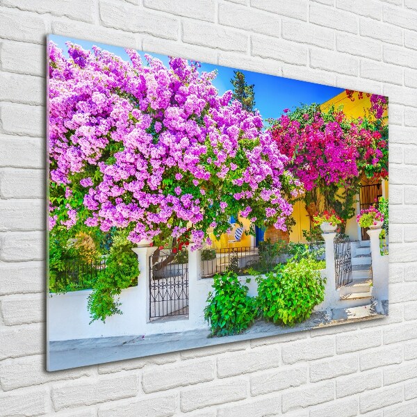 Fotografie imprimată pe sticlă Casa cu bougainvillea