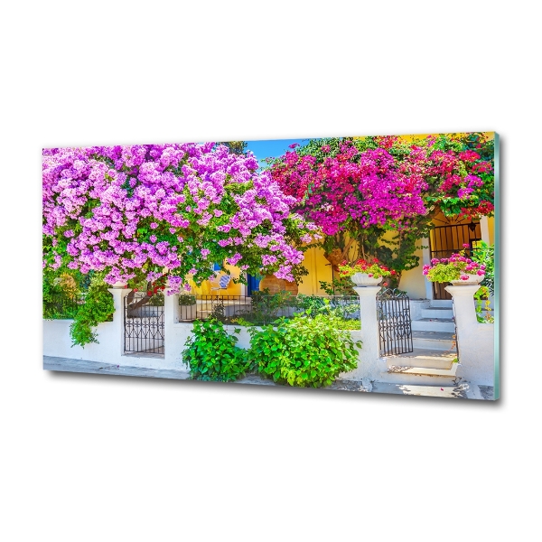 Fotografie imprimată pe sticlă Casa cu bougainvillea