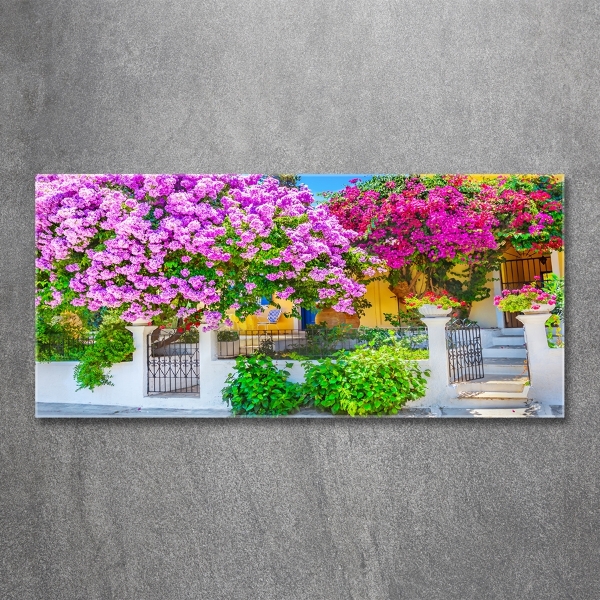 Fotografie imprimată pe sticlă Casa cu bougainvillea