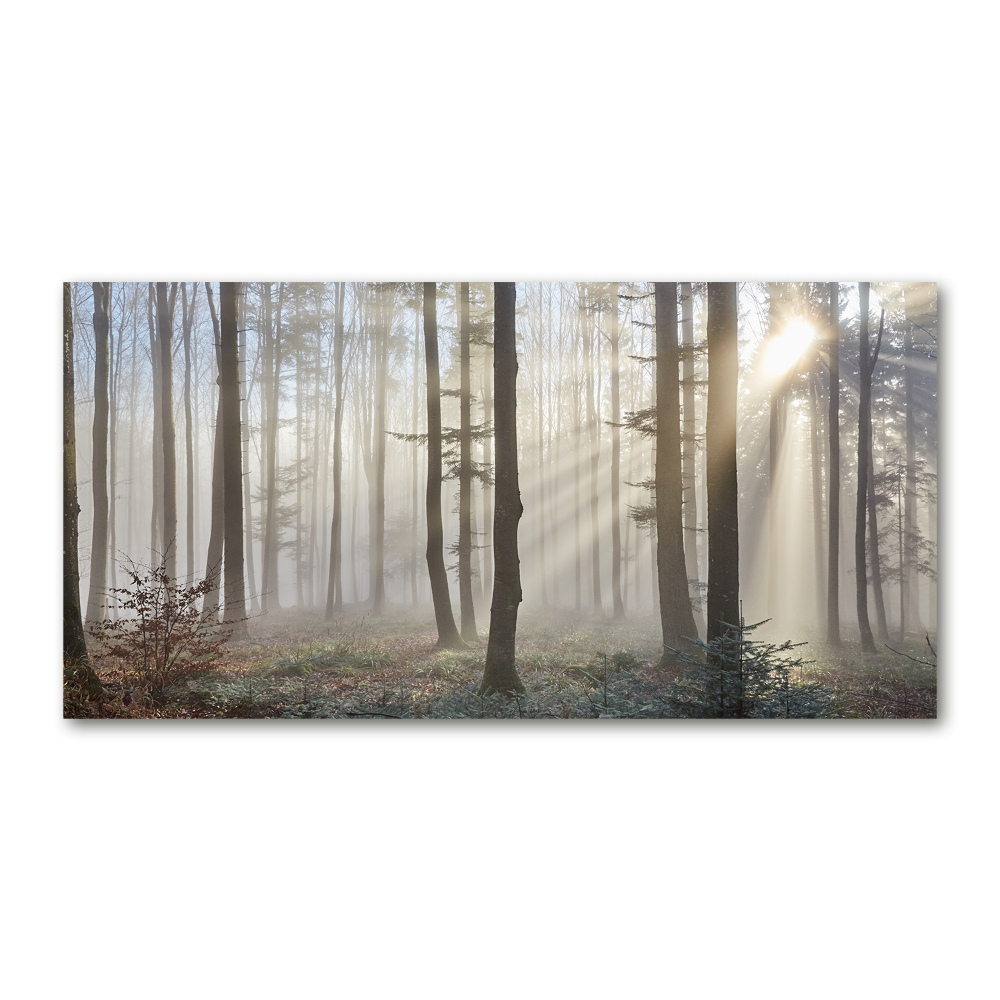 Tablou din Sticlă Ceață în pădure