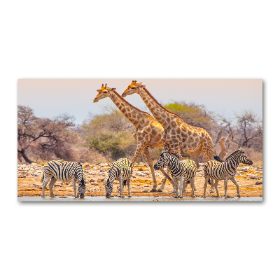 Tablou Printat Pe Sticlă Girafe și zebre