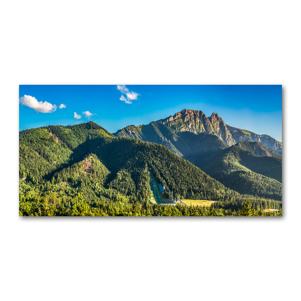 Fotografie imprimată pe sticlă panorama Tatra