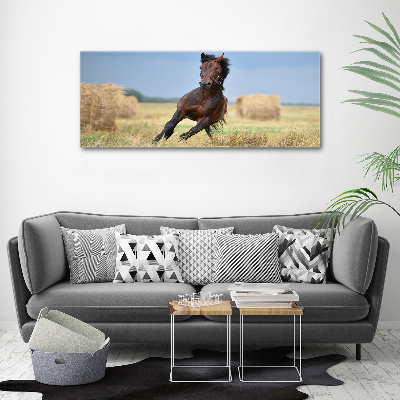 Imagine de sticlă Un cal în galop
