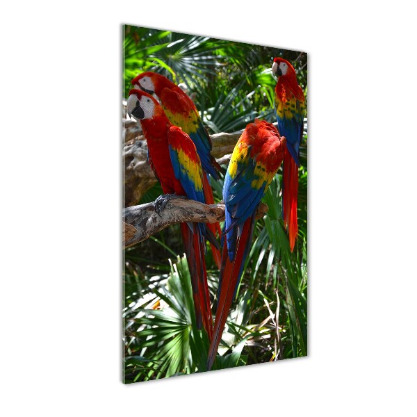 Tablou sticlă papagali Macaws