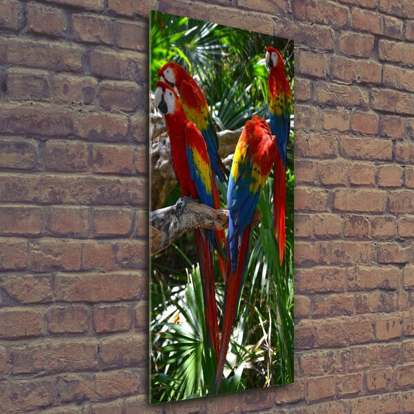 Tablou sticlă papagali Macaws