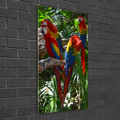 Tablou sticlă papagali Macaws