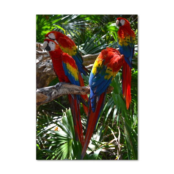 Tablou sticlă papagali Macaws