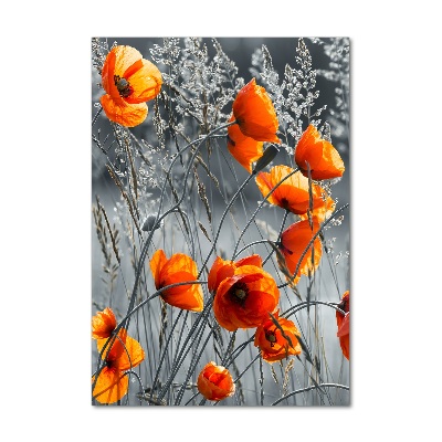 Fotografie imprimată pe sticlă wildflowers maci