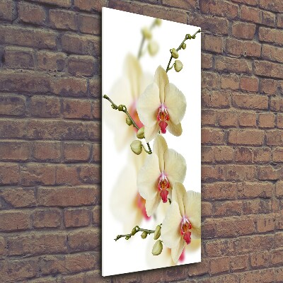 Tablou din Sticlă Orhidee
