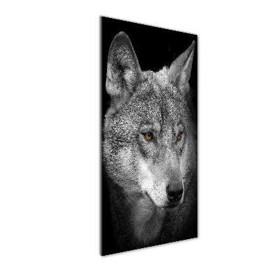 Tablou pe pe sticlă Portret de lup