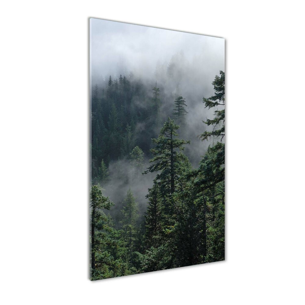 Fotografie imprimată pe sticlă Ceață peste pădure