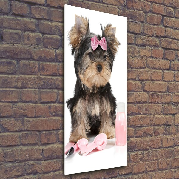 Tablou din Sticlă cosmetice Yorkshire