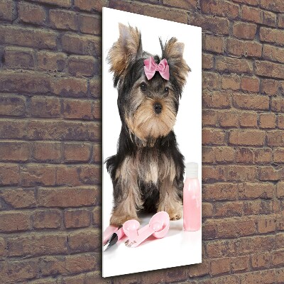 Tablou din Sticlă cosmetice Yorkshire