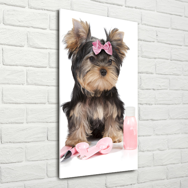 Tablou din Sticlă cosmetice Yorkshire