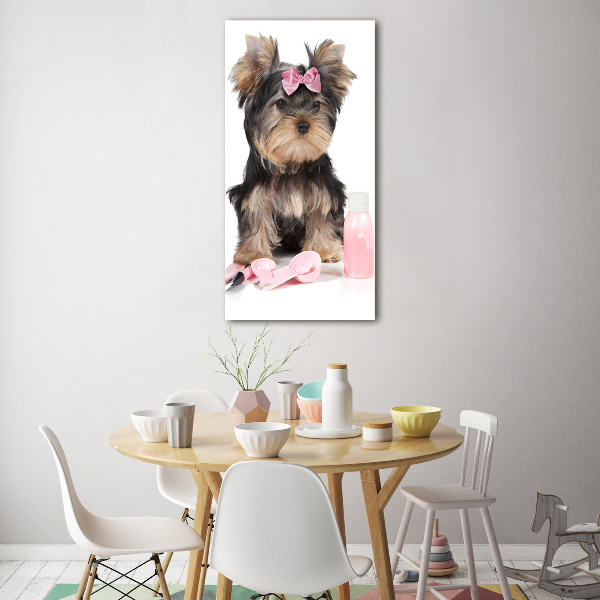 Tablou din Sticlă cosmetice Yorkshire