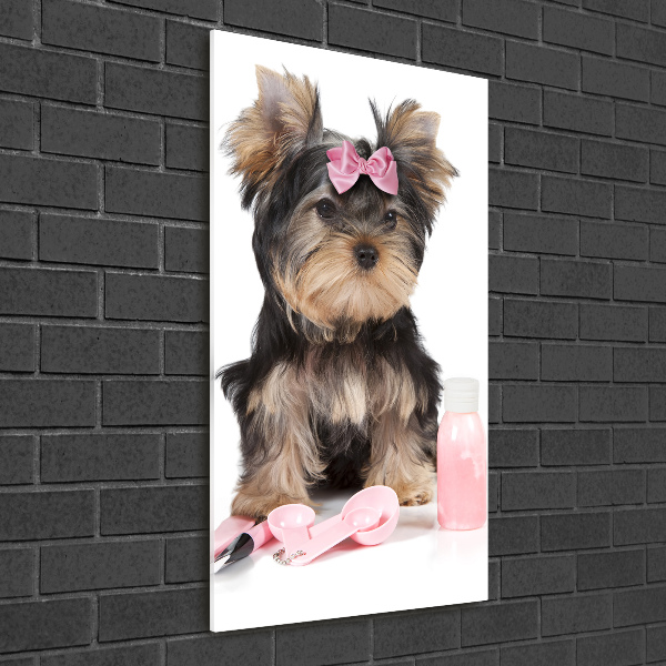 Tablou din Sticlă cosmetice Yorkshire