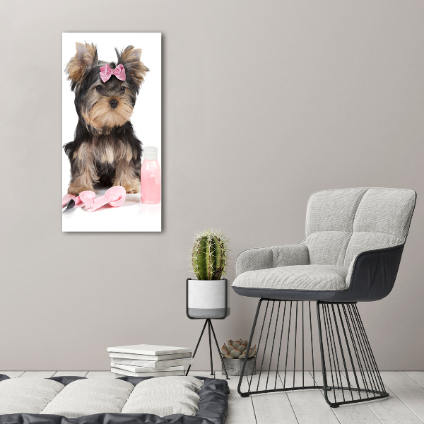 Tablou din Sticlă cosmetice Yorkshire