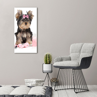 Tablou din Sticlă cosmetice Yorkshire