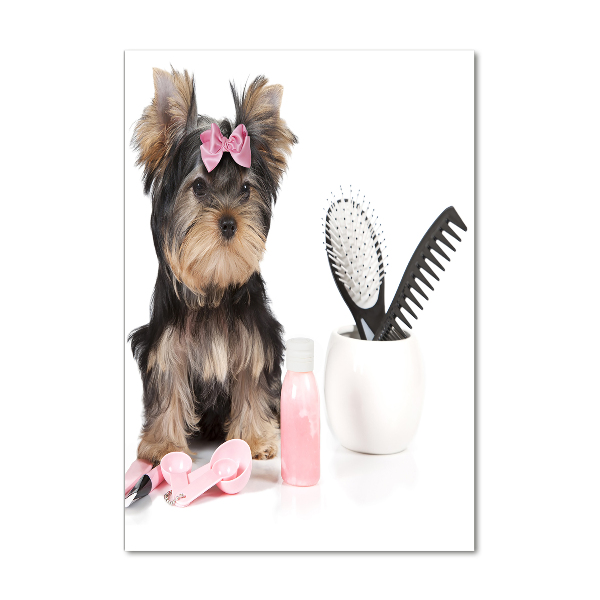 Tablou din Sticlă cosmetice Yorkshire