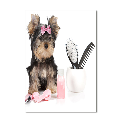 Tablou din Sticlă cosmetice Yorkshire