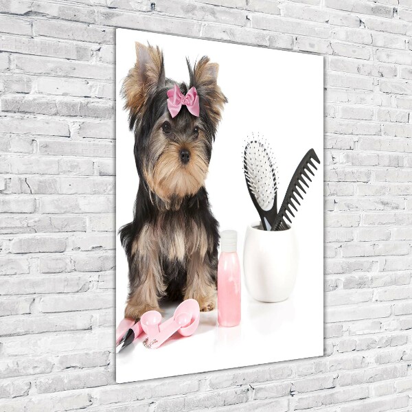 Tablou din Sticlă cosmetice Yorkshire