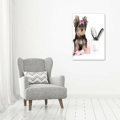 Tablou din Sticlă cosmetice Yorkshire