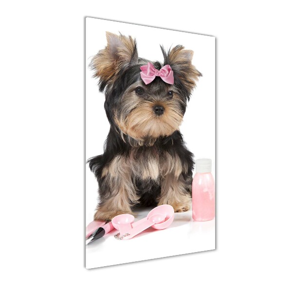 Tablou din Sticlă cosmetice Yorkshire