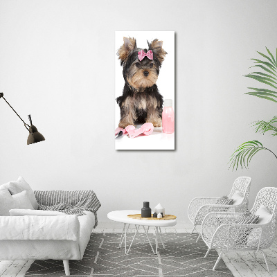 Tablou din Sticlă cosmetice Yorkshire