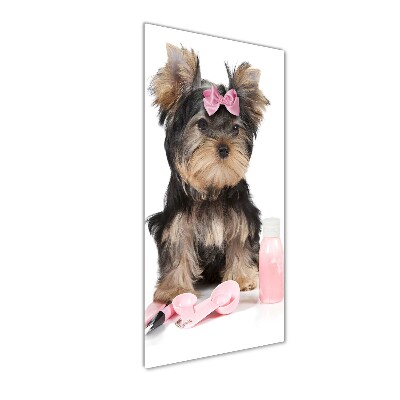 Tablou din Sticlă cosmetice Yorkshire