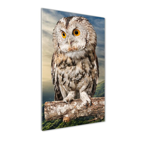 Fotografie imprimată pe sticlă Owl pe deal