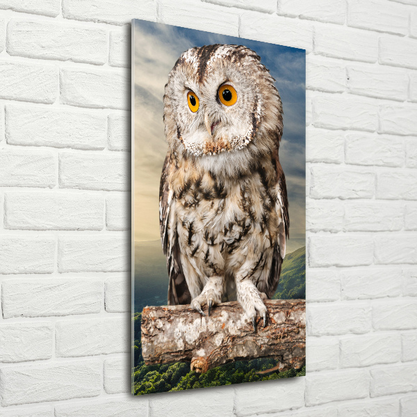 Fotografie imprimată pe sticlă Owl pe deal