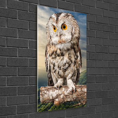 Fotografie imprimată pe sticlă Owl pe deal