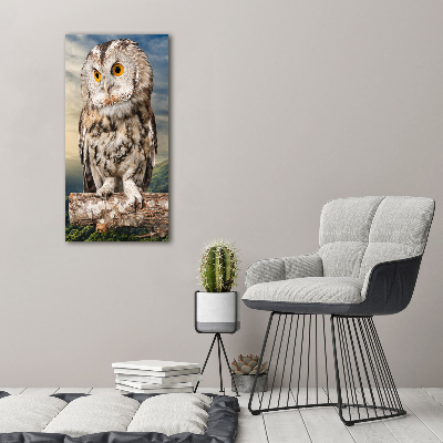 Fotografie imprimată pe sticlă Owl pe deal