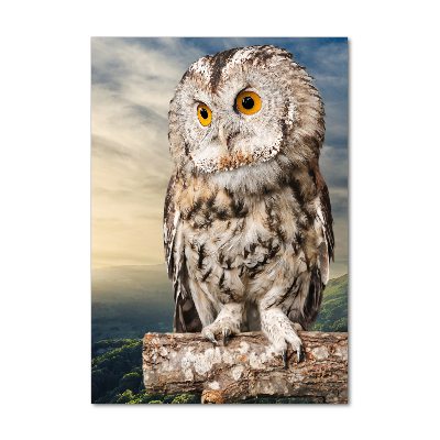 Fotografie imprimată pe sticlă Owl pe deal