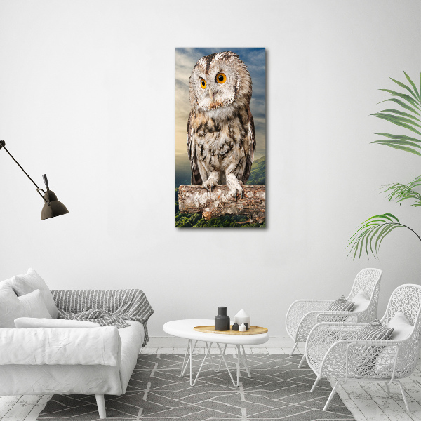 Fotografie imprimată pe sticlă Owl pe deal