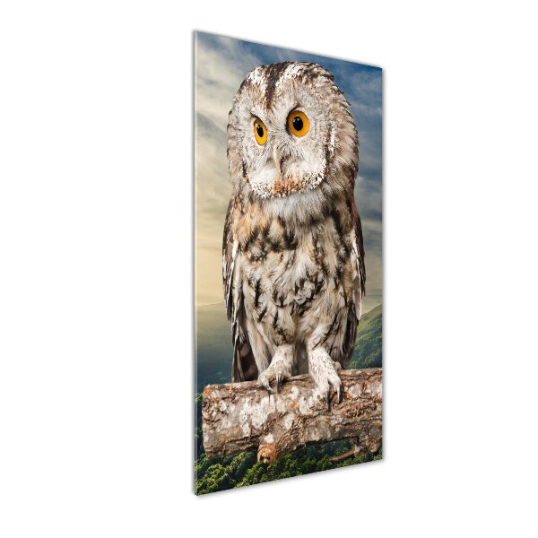 Fotografie imprimată pe sticlă Owl pe deal