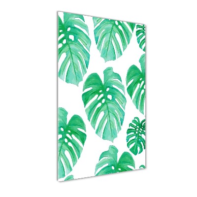 Fotografie imprimată pe sticlă Monstera