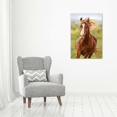 Imagine de sticlă Un cal în galop