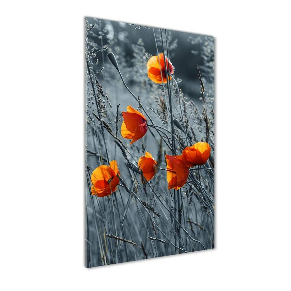 Imagine de sticlă wildflowers maci