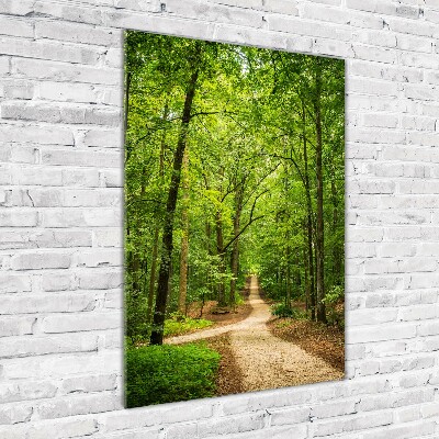 Fotografie imprimată pe sticlă Calea în pădure