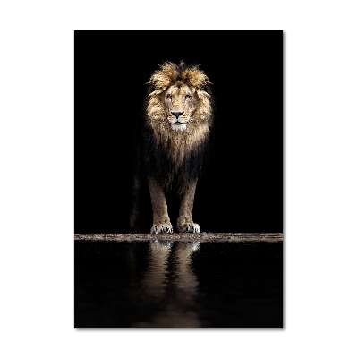 Fotografie imprimată pe sticlă Portret de un leu