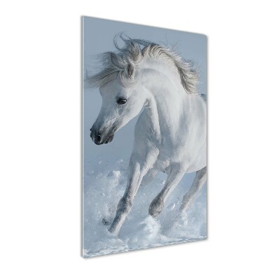 Tablou pe pe sticlă cal alb în galop