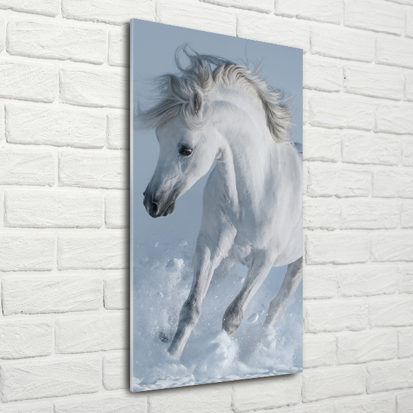 Tablou pe pe sticlă cal alb în galop
