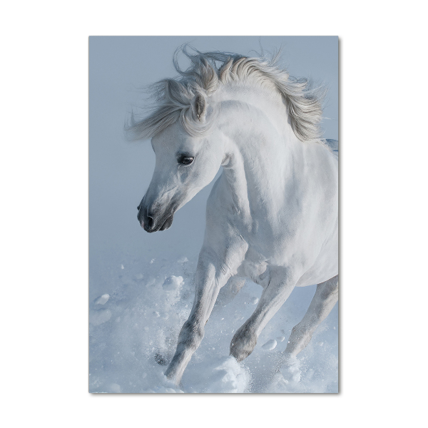 Tablou pe pe sticlă cal alb în galop