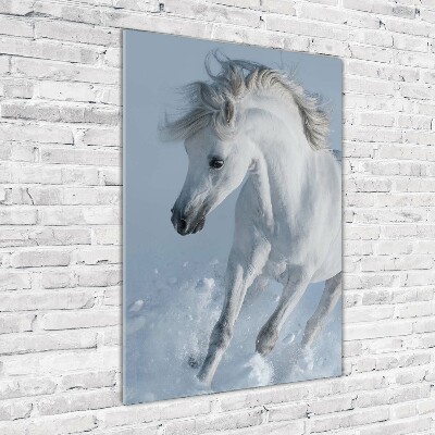 Tablou pe pe sticlă cal alb în galop