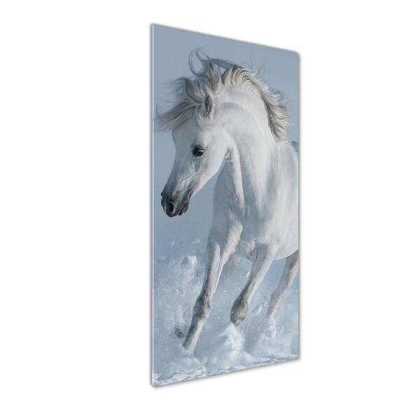 Tablou pe pe sticlă cal alb în galop